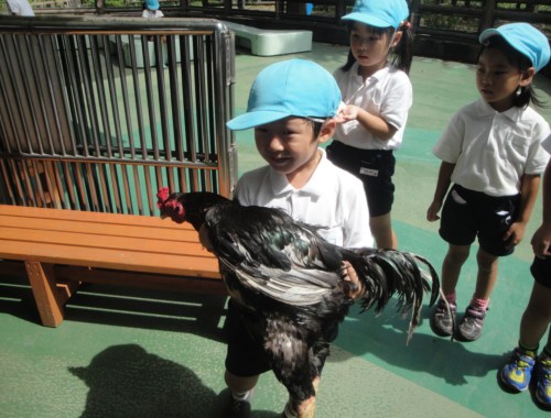 大池公園　大きな鶏